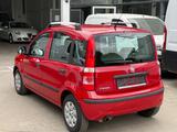 Fiat Panda 1.3 16V JTD Dynamic - gebrauchte Fiat Panda aus dem Jahr 2011