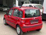 Fiat Panda 1.3 16V JTD Dynamic - Fiat Panda mit Diesel-Antrieb