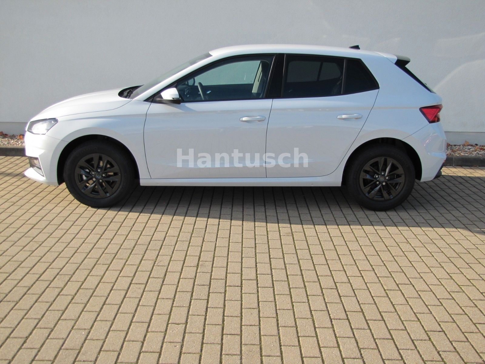 Fahrzeugabbildung SKODA Fabia Selection 1.0l TSI 95PS