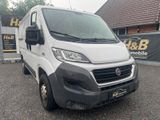Fiat Ducato Kasten 30 130 L1H1 RS: 3000 mm*KLIMA* - Fiat Ducato: Kasten