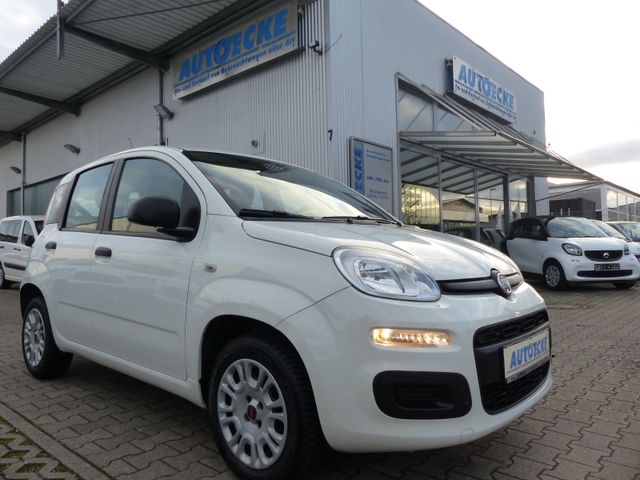 Fiat Panda Easy 1.2 KLIMA/1.Hand/Servo/Allwetterreif.