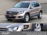 Volkswagen Tiguan 2.0TDI Cup Sp&St BMT 4x4 DSG AHK Navi - : Allradantrieb, Geländewagen