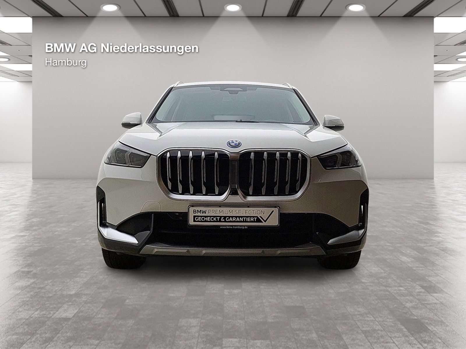 BMW X1 xDrive30e AHK Driv.Assist.Prof Harman/K LED foto 10