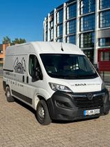 Opel Movano - Opel: Firmenfahrzeug