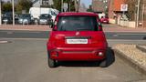 Fiat Panda Red - Fiat Panda Vorführfahrzeuge