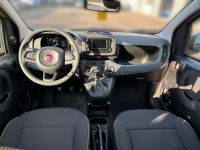 Fiat Panda 1.0 GSE Hybrid  PARKSENSOREN KLIMA GRA DAB - Image