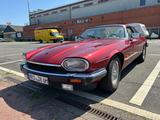 Jaguar XJS - Jaguar XJS mit Benzin-Antrieb: Coupé