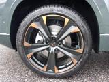 Cupra ATECA TRIBE EDITION 2.0 TSI DSG 4DRIVE AHK NAVI  - mit Benzin-Antrieb: Grün, Ambiente-Beleuchtung, Geländewagen