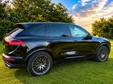 Porsche Cayenne Platinum Edition Facelift  - Porsche Cayenne Gebrauchtwagen in Stuttgart