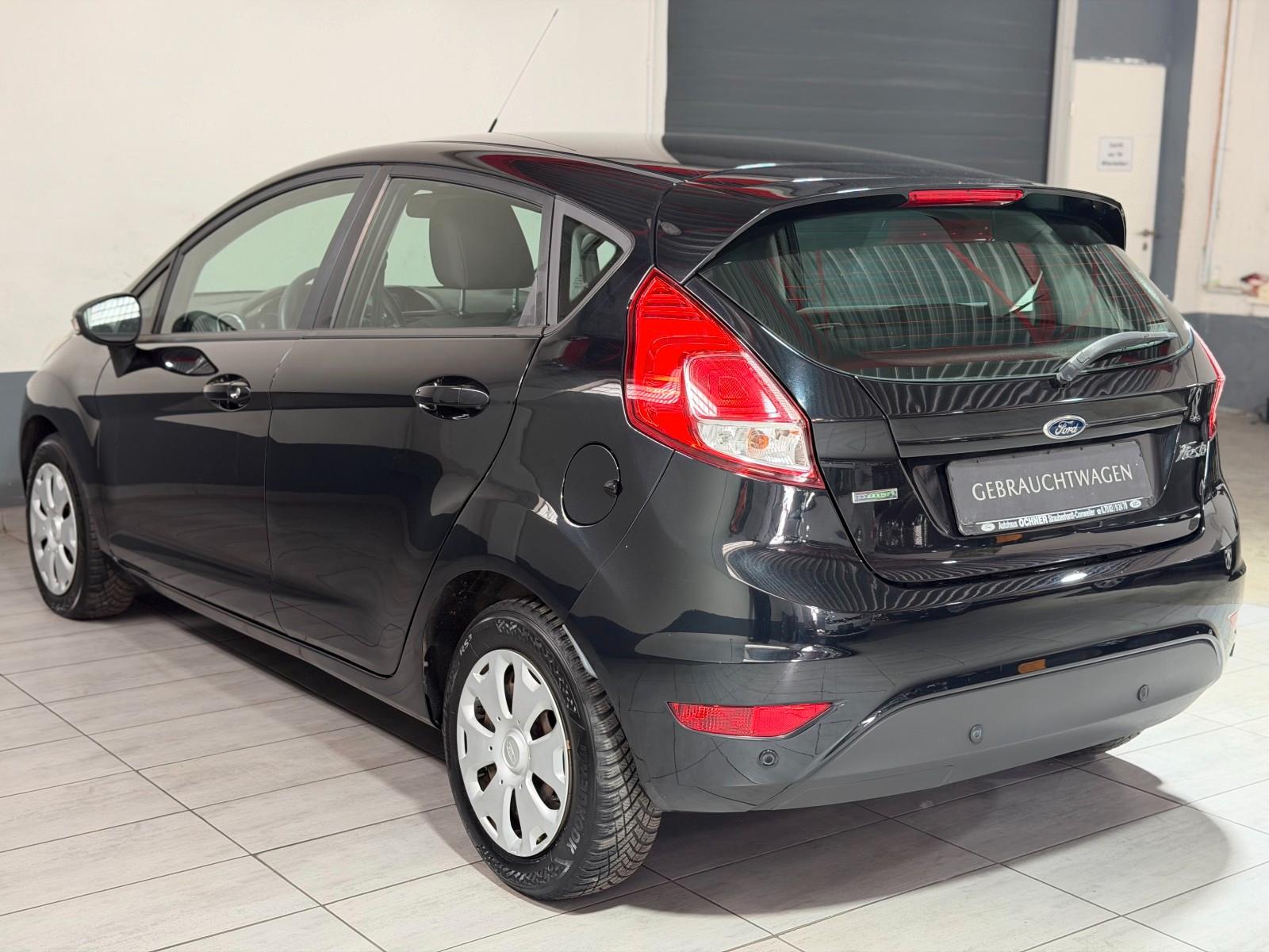Ford Fiesta Edition Winterpaket USB PDC