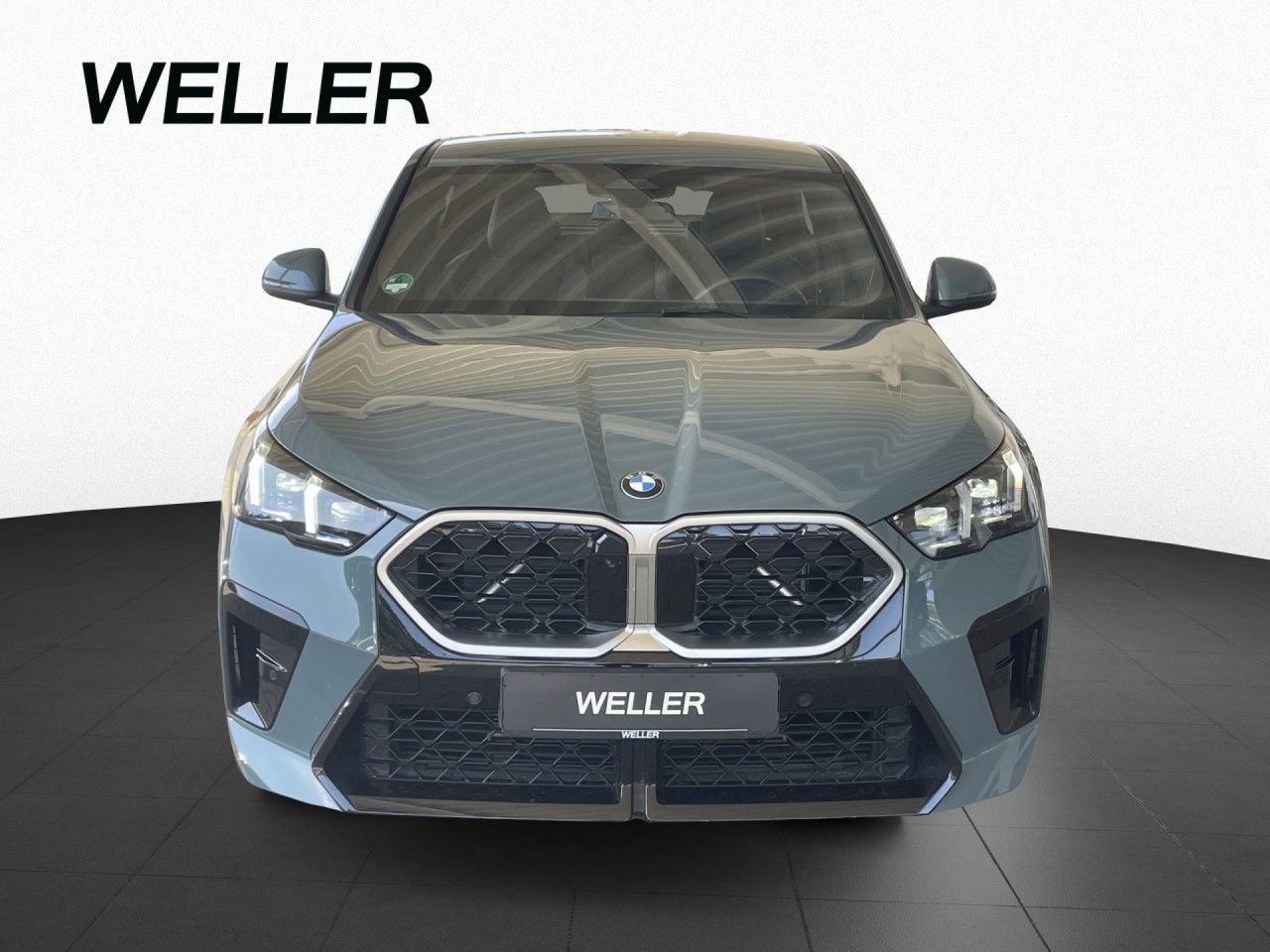 BMW X2 sDrive20d M Sport AdapLED DrA Kamera KomZu foto 4
