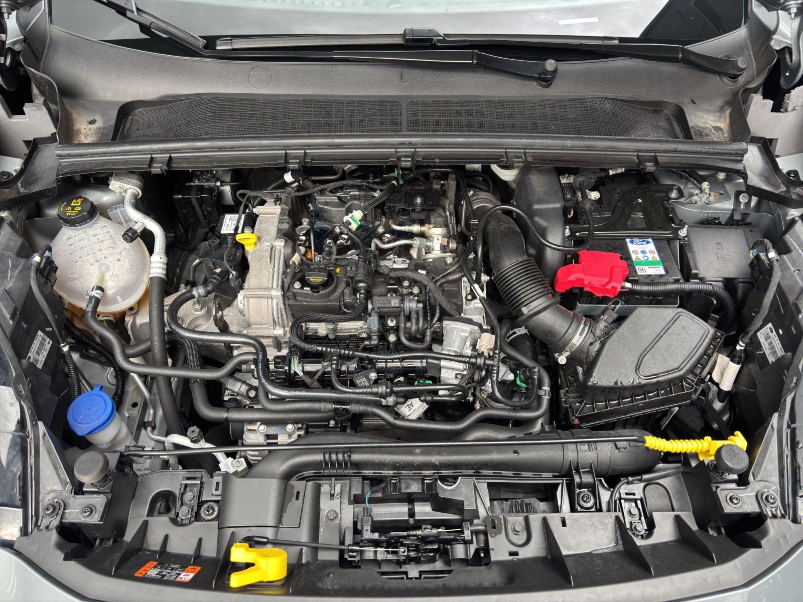 Fahrzeugabbildung Ford Puma    1.0l Titanium Design #RFK #WinterpaketPa