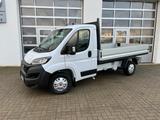 Fiat Ducato 35 140 L2 Pritsche,AHK,Navi4JahreGarantie - Offers matching your search criteria