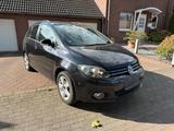 Volkswagen Golf Plus VI1.6 TDI DPF TEAM DS... - Volkswagen Golf Plus Team mit Diesel-Antrieb