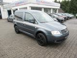 Volkswagen Caddy Life Gewinner Caddy; Zahnriemen, Wapu Neu! - Volkswagen Caddy: Gewinner