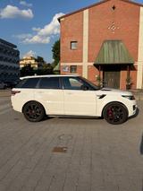 Land Rover Range Rover Sport 3.0 SDV6 SE SE - Land Rover Range Rover Sport Se mit Diesel-Antrieb