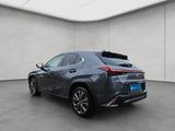 Lexus UX 250h F-Sport Design - Lexus UX 250h Gebrauchtwagen