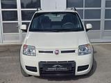 Fiat Panda 1.2 8V Climbing  4X4 *HU neu* - gebrauchte Fiat Panda aus dem Jahr 2011