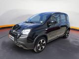 Fiat Panda (319) City Plus - gebrauchte Fiat Panda aus dem Jahr 2023