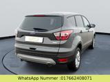 Ford Kuga Trend - Ford Kuga: Trend