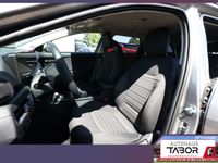 Kia K4 - Vorschau Bild 6
