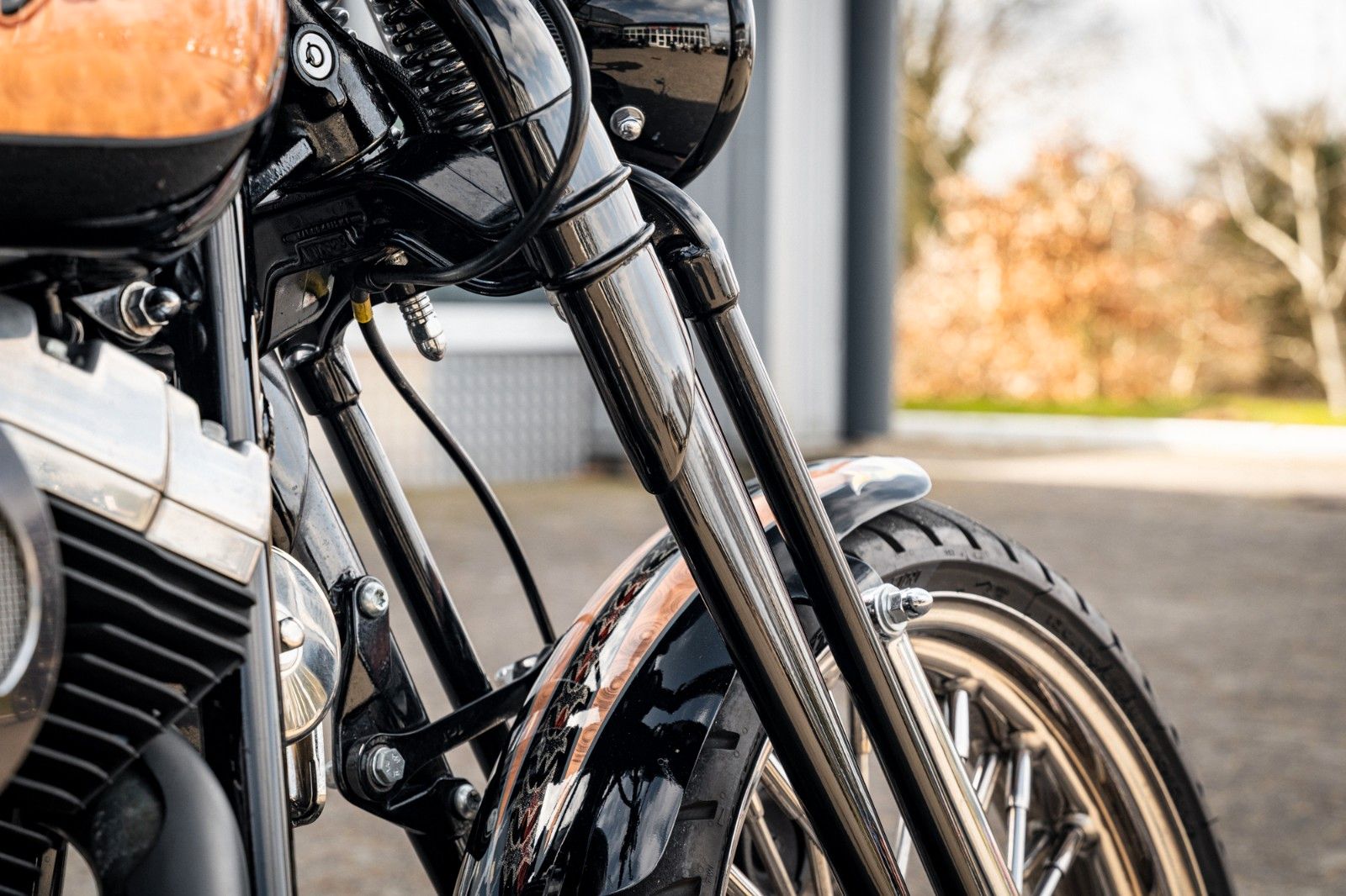 Fahrzeugabbildung Harley-Davidson SOFTAIL CROSS BONES CUSTOM FLSTSB - BIG SPOKE