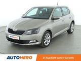Skoda Fabia 1.2 TSI Joy*TEMPO*PDC*SHZ*AHK*KLIMA* - : Beige, Kleinwagen