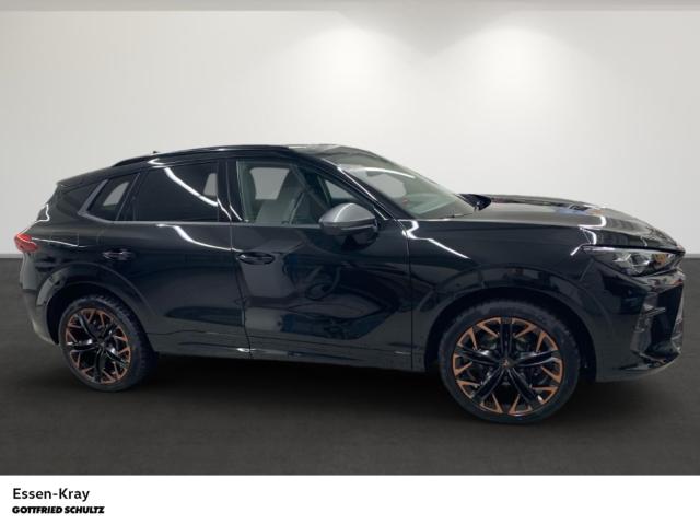 Cupra Terramar CUPRA VZ 2.0 TSI DSG 4DRIV AHK HUD SNH 
