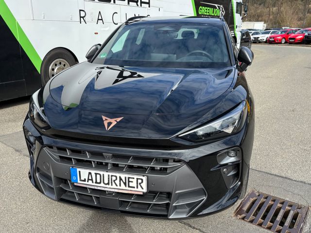 Cupra Terramar 2.0 TSI 195 kW 4Drive VZ Akebono/Pano