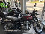 Kawasaki W800 Neufahrzeug 4 Jahre Garantie - KAWASAKI BENZIN MOTORRAD W800