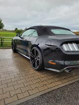 Ford Mustang 5.0 Traum in schwarz! - Ford Mustang Gebrauchtwagen in Stuttgart