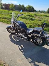 Suzuki VL 800 Intruder Volusia Limited Edition - Offers matching your search criteria