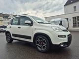 Fiat Panda 1.0 - Ratenzahlung mgl. - gebrauchte Fiat Panda aus dem Jahr 2021