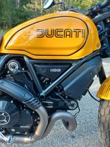 Ducati Scrambler 1100 Tribute Pro - Ducati Motorräder in Nürnberg
