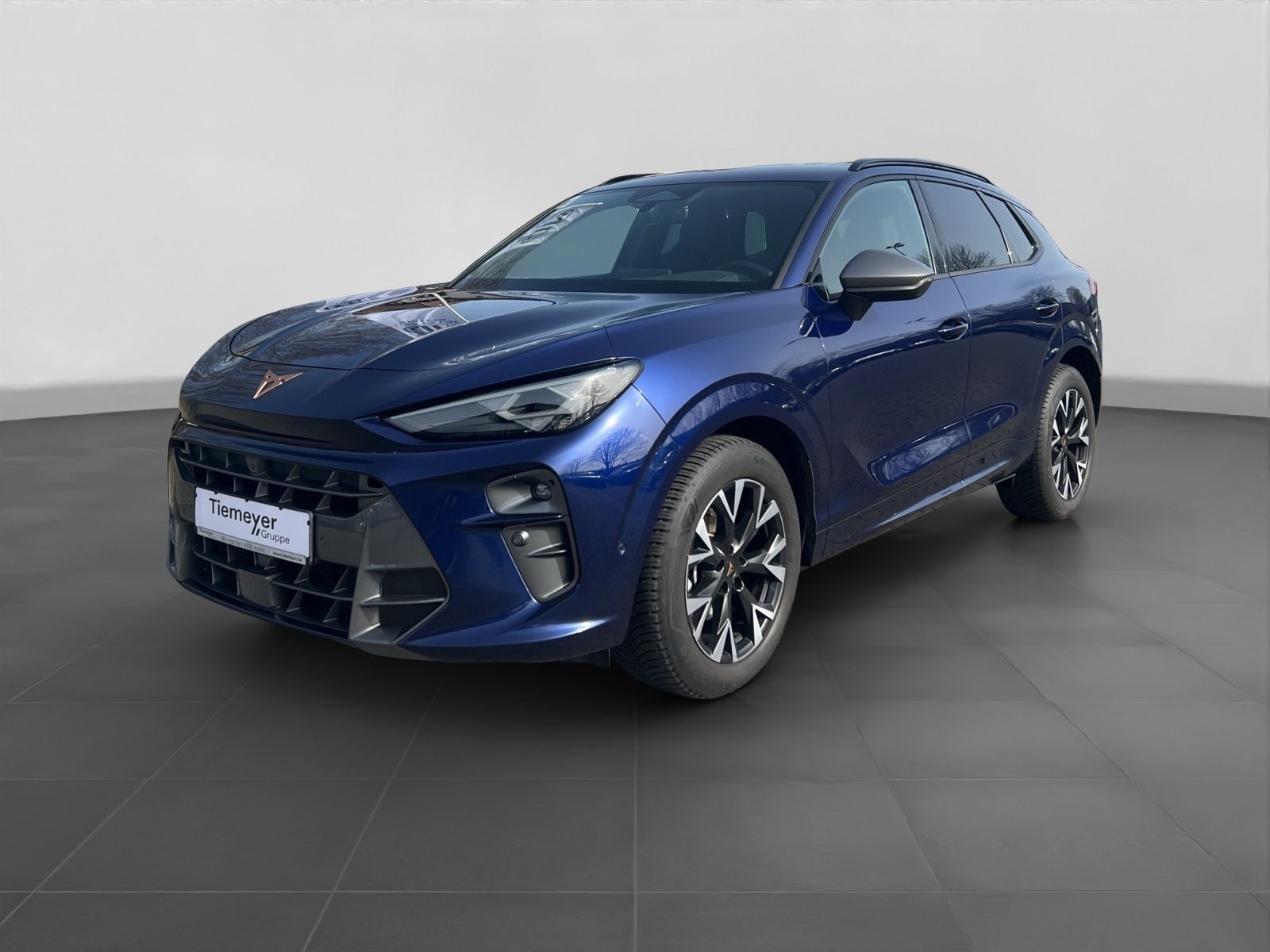 Cupra Terramar - Bild 2