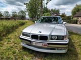 BMW AC Schnitzer E36 S3 3.0 Coupé 240 PS Original - BMW Oldtimer mit Benzin-Antrieb: Coupe