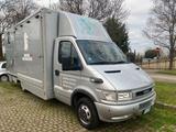 Iveco Daily 50 C11 trasporto per 3 cavalli paten - Iveco: 50c