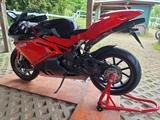MV Agusta F4 1000S Mamba 019/300 - Offers