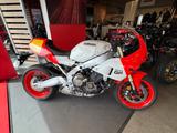 Yamaha XSR 900 GP - Offers