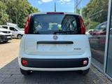 Fiat Pandina Hybrid Icon Klima PDC DAB Bluetooth... - Fiat Panda Gebrauchtwagen in Stuttgart