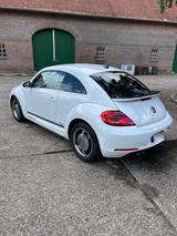 Volkswagen Beetle 1.4 TSI BMT CUP CUP - gebrauchte VW Beetle aus dem Jahr 2015