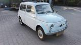Fiat 500 Giardiniera - Fiat 500: Kombi, Giardiniera