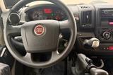 Fiat Blue Camp Sky Free Alkoven Rollstuhlgerecht  - Behindertengerecht