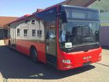 MAN A 20, A 21 Lions  City, Deutscher Bus,  ID: 1883 - MAN D20