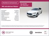 Skoda Octavia Combi 2.0 TDI DPF Ambition 4x4, Ausstatt - Skoda Octavia: Dpf