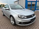 Volkswagen Eos 1.4 TSI CUP LEDER 1. HD 61 TKM VW SCH.HEFT - Volkswagen Eos mit Benzin-Antrieb: Vollleder