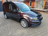 Volkswagen VW Caddy Trendline Camping - Volkswagen Caddy: Camping