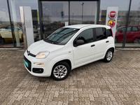 Fiat Panda 1.2 Easy Sondermodell More - Viele Extras