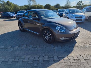 Volkswagen Beetle - 5
