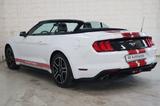 Ford Mustang Basis Convertible LED Vollleder Kamera - gebrauchte Ford Mustang aus dem Jahr 2019